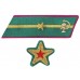 БРИГАДНЫЙ КОМИССАР, БРИГВРАЧ, БРИГВЕТВРАЧ, БРИГВОЕНЮРИСТ войск НКВД, петлицы и нарукавные знаки обр. 1935/36 г..